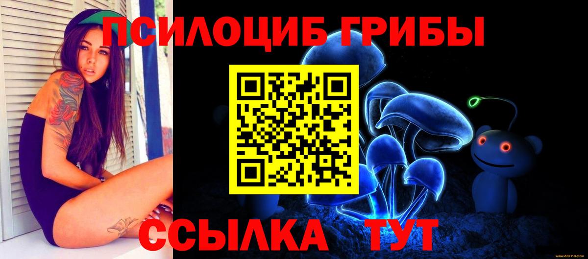 Сосновоборск  Галлюциногенные грибы Psilocybe  Вход с VPN 